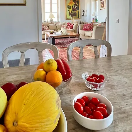 Castel Horizon - Super Cannes - 360 Degrees View Villa *