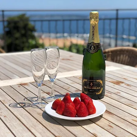 Villa Castel Horizon - Super Cannes - 360 Degrees View *